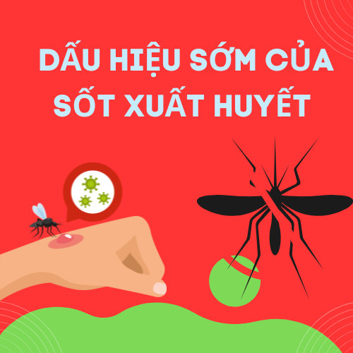 tin-tuc/dau-hieu-som-cua-sot-xuat-huyet-va-cach-phan-biet-voi-cam-sot-thong-thuong-9129